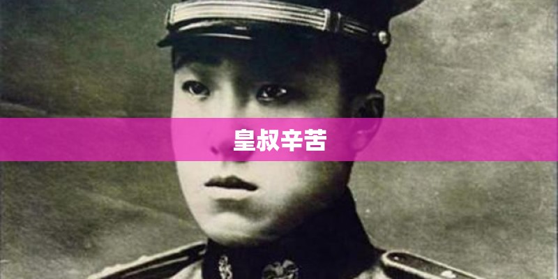 皇叔辛苦