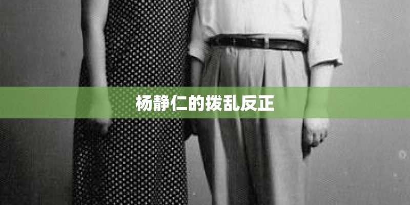 杨静仁的拨乱反正 杨静仁的拨乱反正