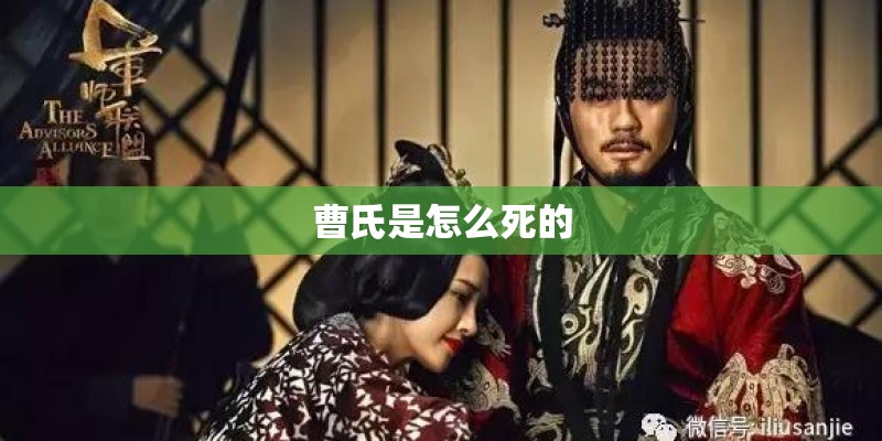 曹氏是怎么死的