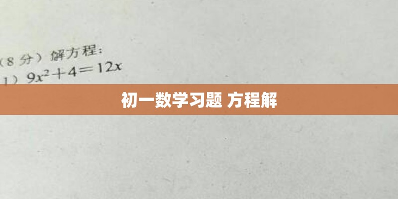 初一数学习题 方程解