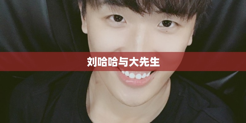刘哈哈与大先生