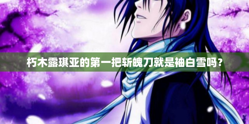 朽木露琪亚的第一把斩魄刀就是袖白雪吗？