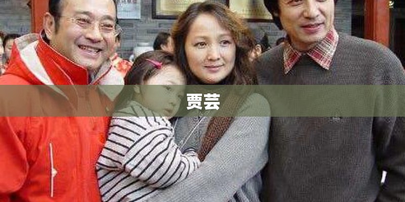 贾芸