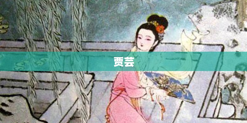 贾芸