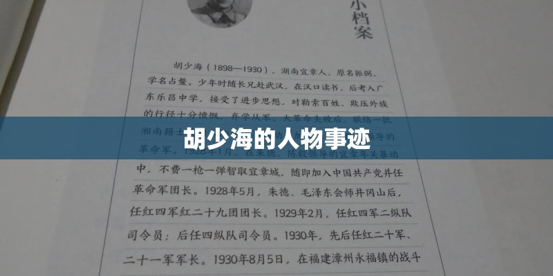 胡少海的人物事迹