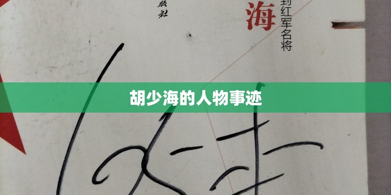 胡少海的人物事迹