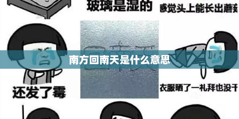 南方回南天是什么意思