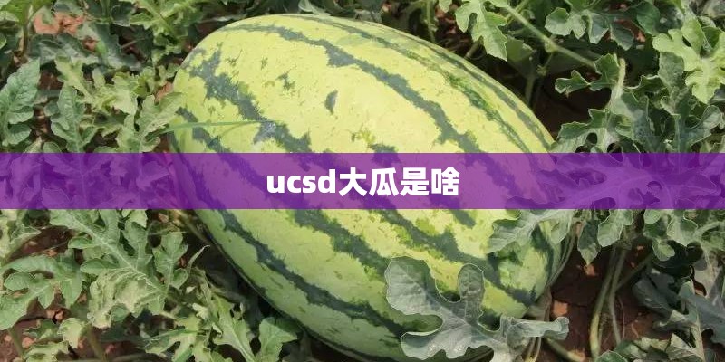 朱姆沃特