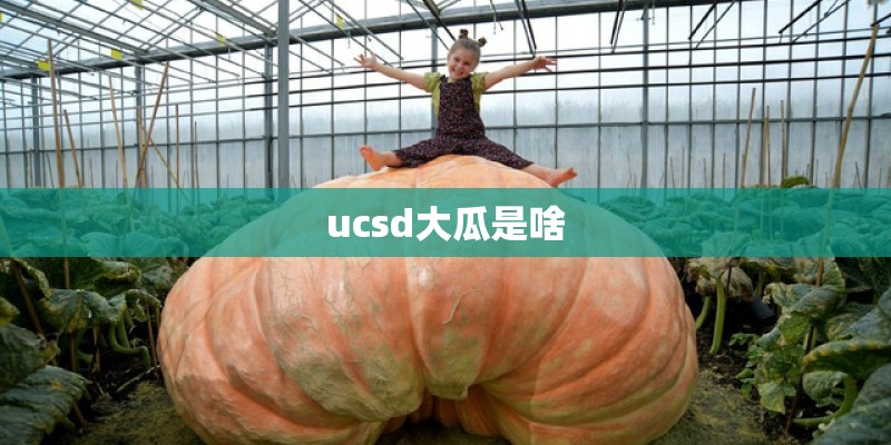 ucsd大瓜是啥