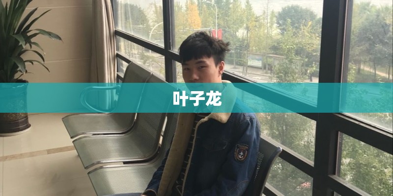 叶子龙