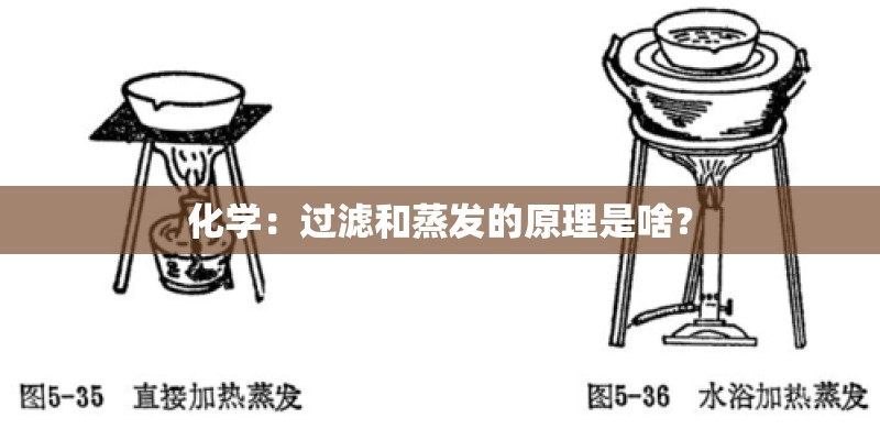 朱姆沃特