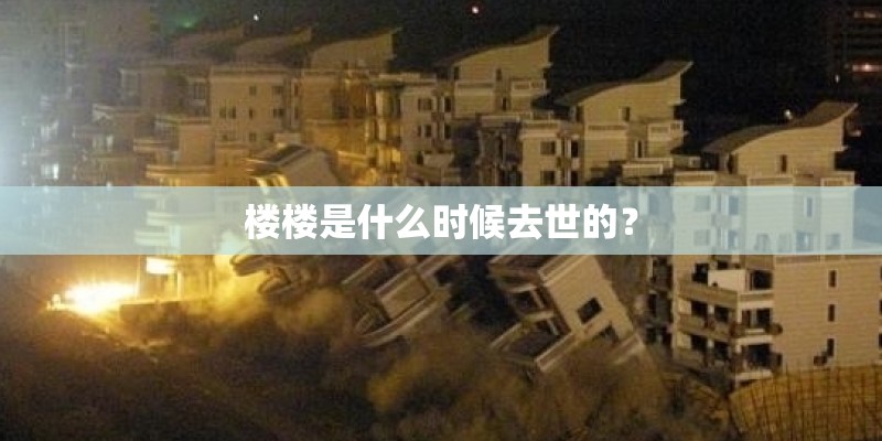 楼楼是什么时候去世的？