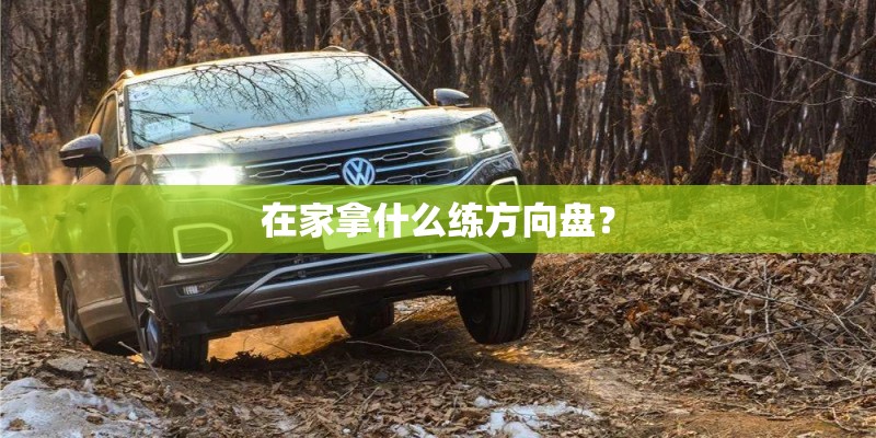 在家拿什么练方向盘？