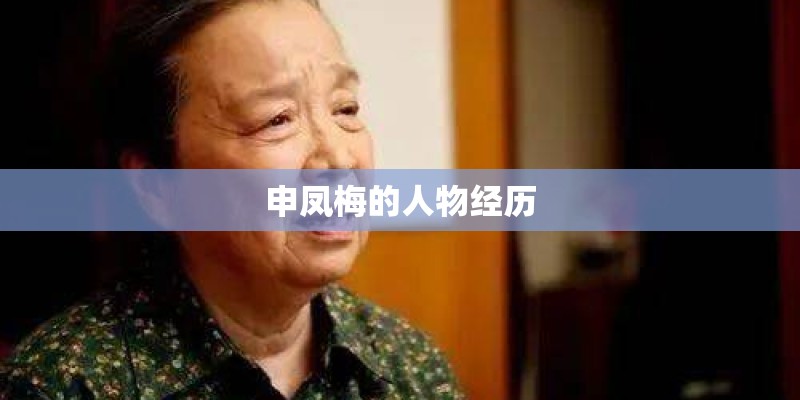 申凤梅的人物经历