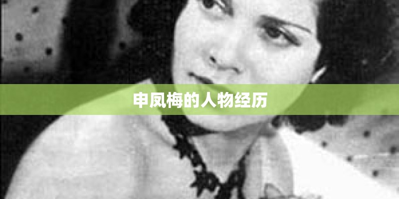 申凤梅的人物经历