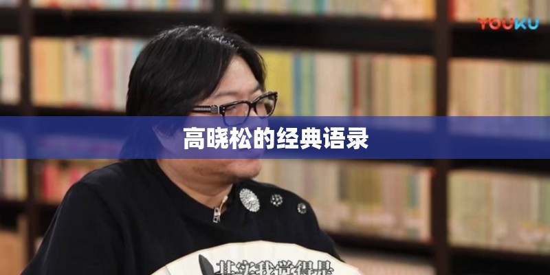 高晓松的经典语录