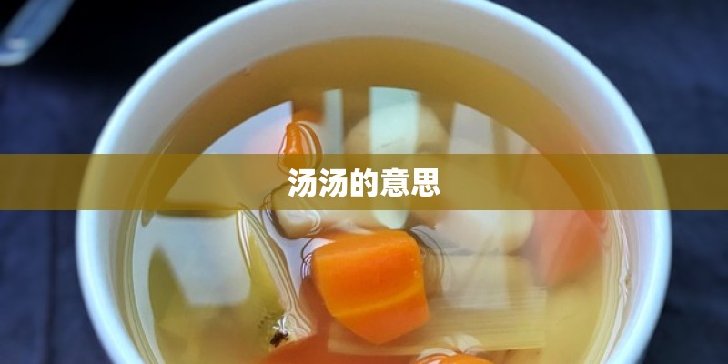 汤汤的意思