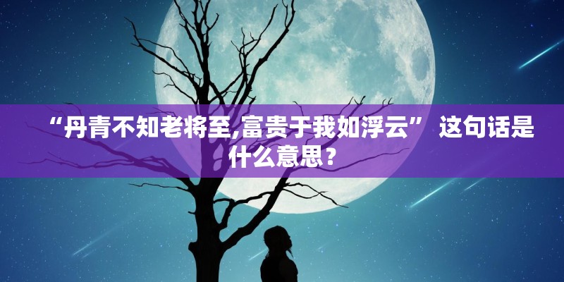 “丹青不知老将至,富贵于我如浮云” 这句话是什么意思? “丹青不知老将至,富贵于我如浮云” 这句话是什么意思?