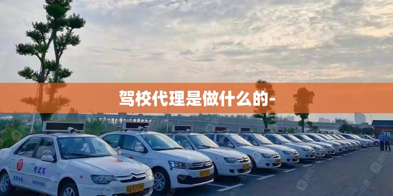 驾校代理是做什么的-