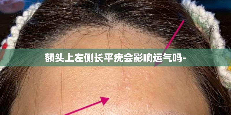 吴桥杂技大世界王保和是什级别的待遇