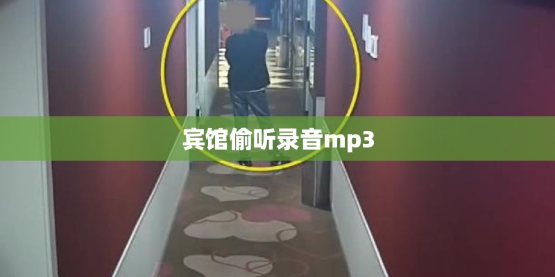 宾馆偷听录音mp3
