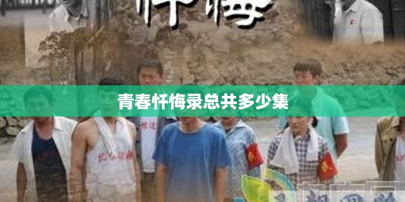 青春忏悔录总共多少集