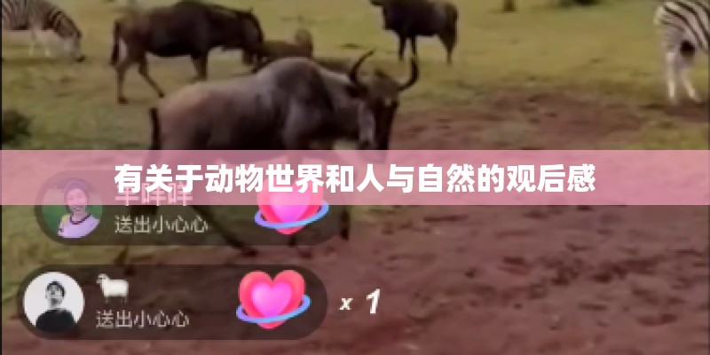 西安特色小吃有哪些-都在哪-要求全面些