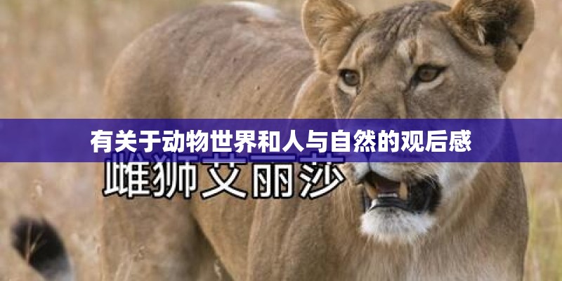 有关于动物世界和人与自然的观后感