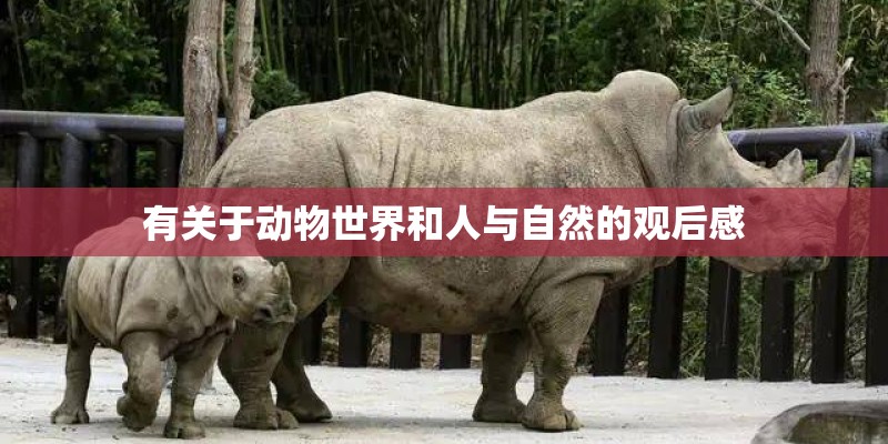 有关于动物世界和人与自然的观后感