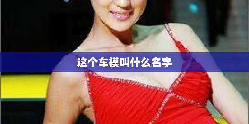 这个车模叫什么名字