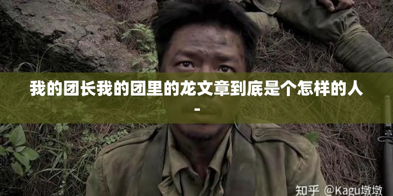 我的团长我的团里的龙文章到底是个怎样的人- 我的团长我的团里的龙文章到底是个怎样的人-