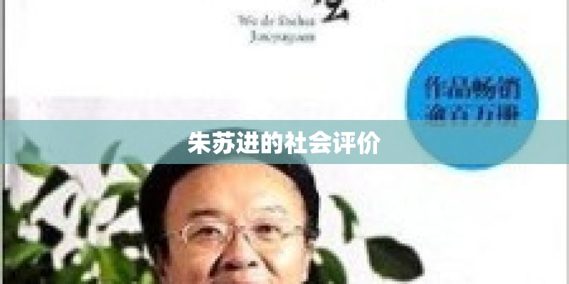 朱苏进的社会评价