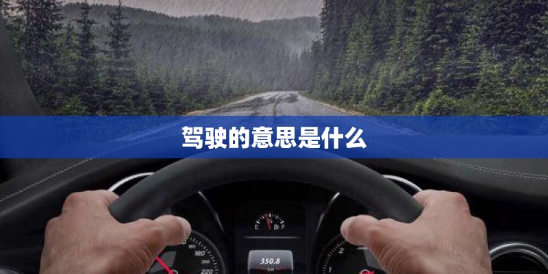 驾驶的意思是什么