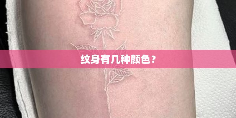 小花仙怎样抓胖滴兔