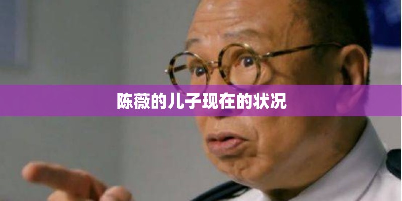 张辛苑怎么消失了