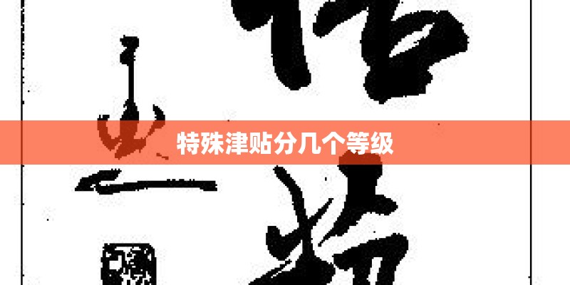 特殊津贴分几个等级