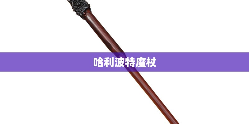 张辛苑怎么消失了