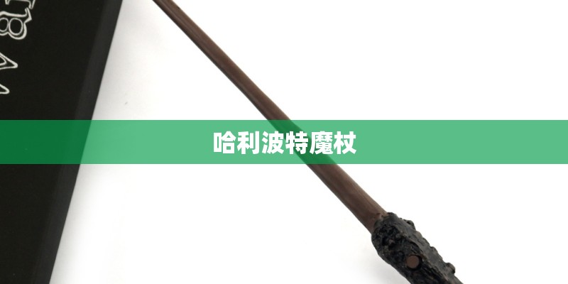 哈利波特魔杖 哈利波特魔杖