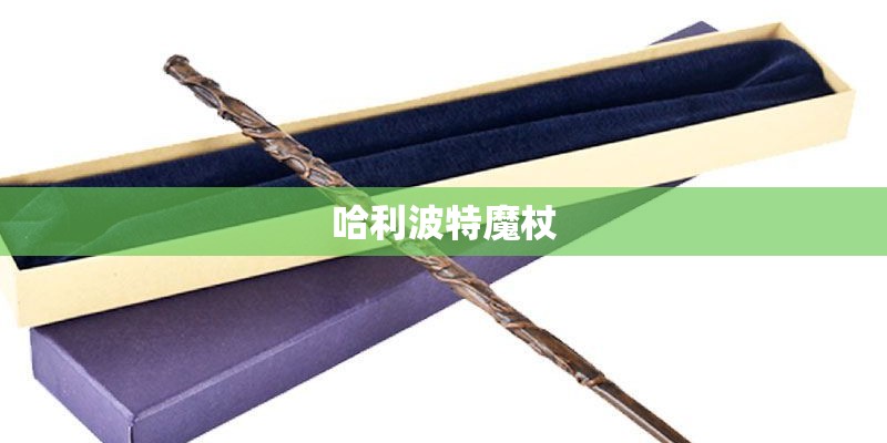 哈利波特魔杖 哈利波特魔杖