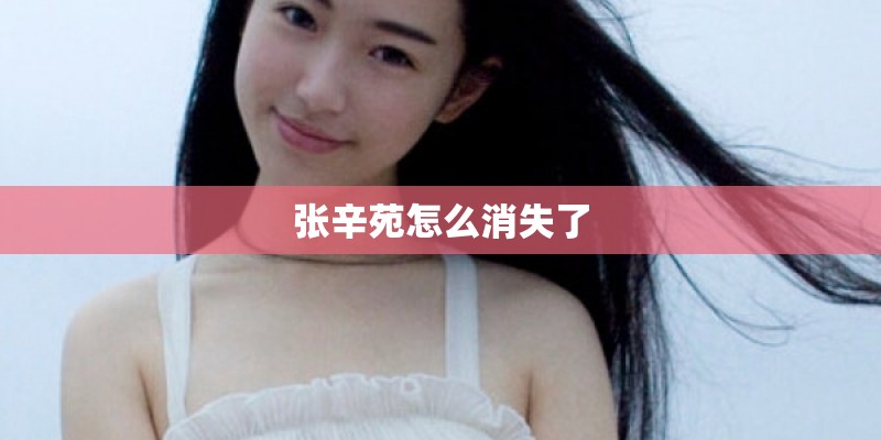 张辛苑怎么消失了