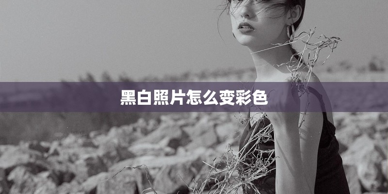 黑白照片怎么变彩色