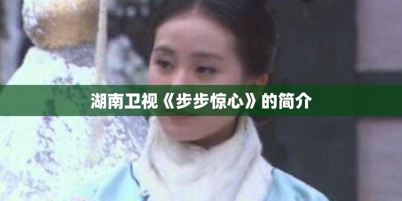 湖南卫视《步步惊心》的简介