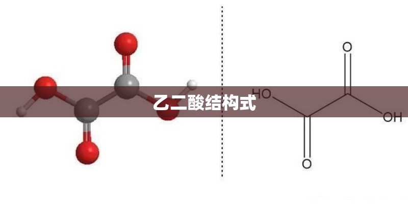 肖战杨紫在横店聚餐