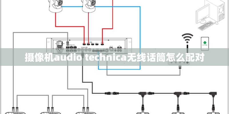 林妙可采访