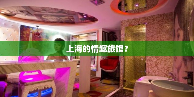 上海的情趣旅馆？