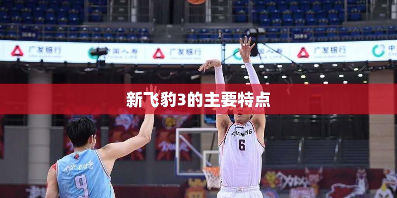 新飞豹3的主要特点