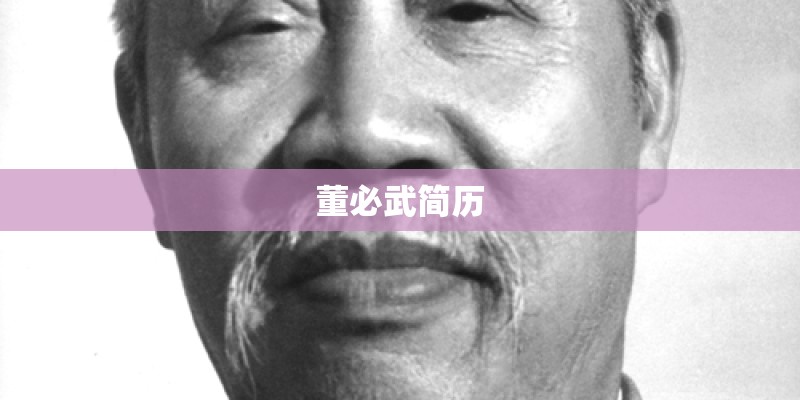董必武简历 董必武简历