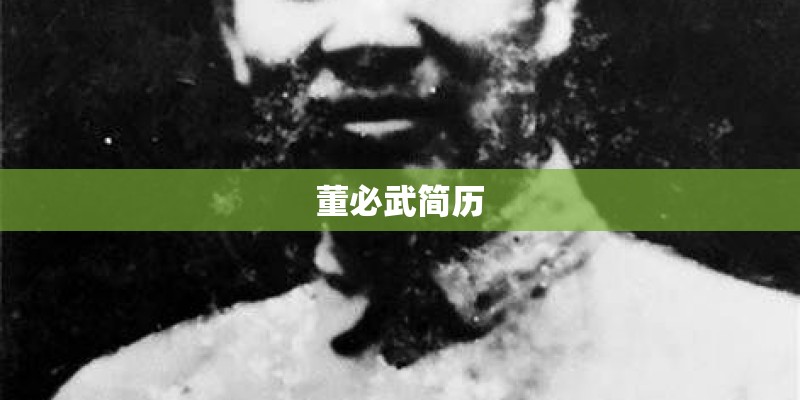 董必武简历 董必武简历