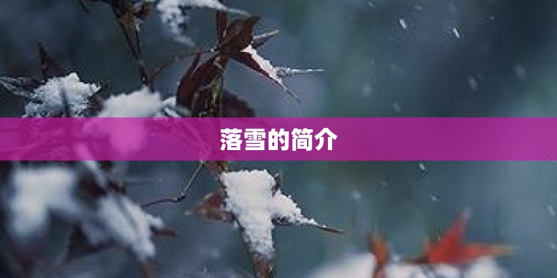 落雪的简介