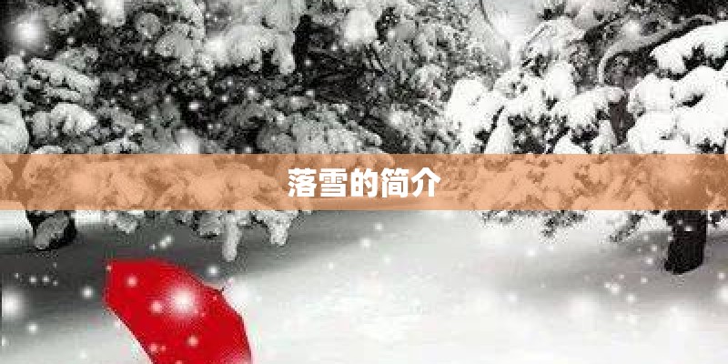 落雪的简介